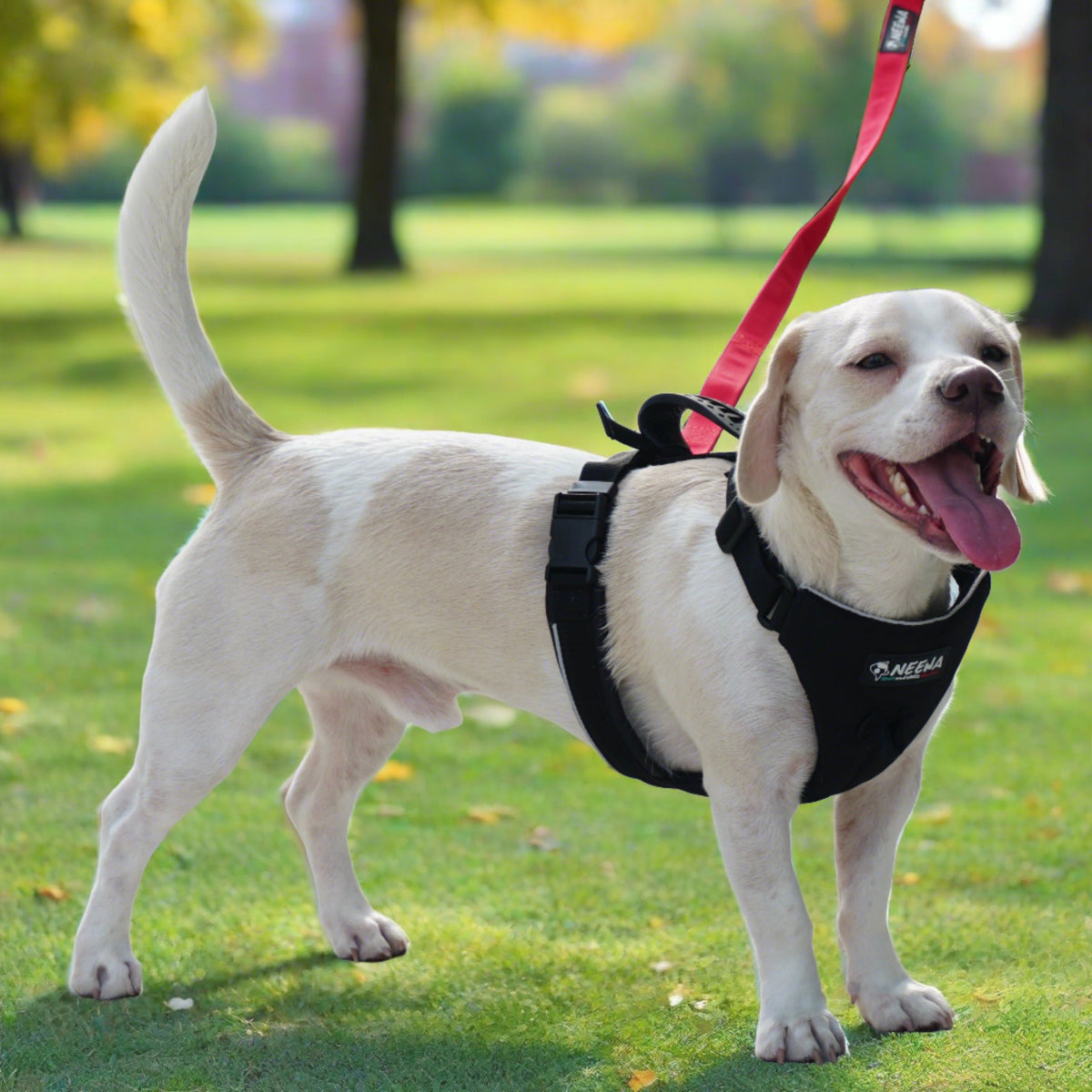 Neewa No Pull Easy Walk Dog Harness