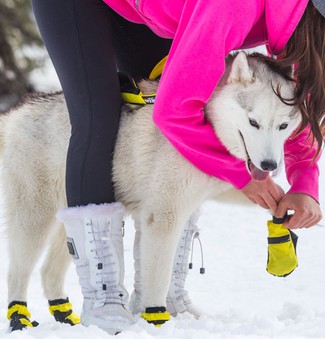 Snow Dog Boots // Best Dog Boots For Winter // Neewa™